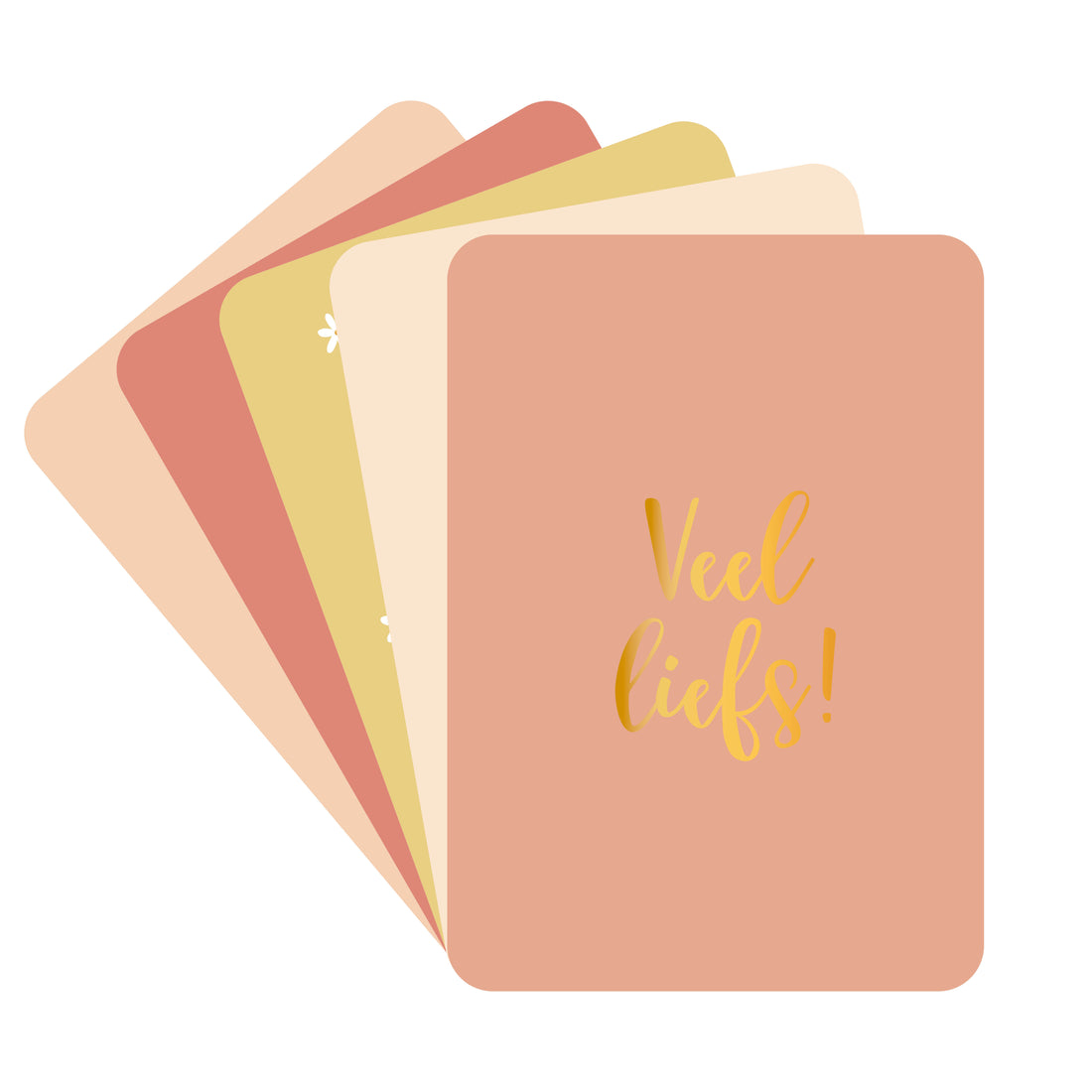 Kaartenset met 5 kaarten en enveloppen met verschillende kleuren en teksten.